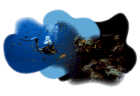 Transporte Santa Marta -Cartagena